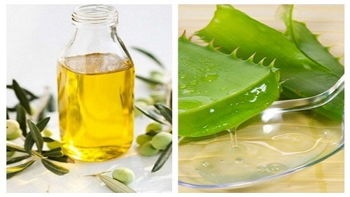 Dùng tinh dầu thiên nhiên, nha đam và mật ong để trị rụng tóc
